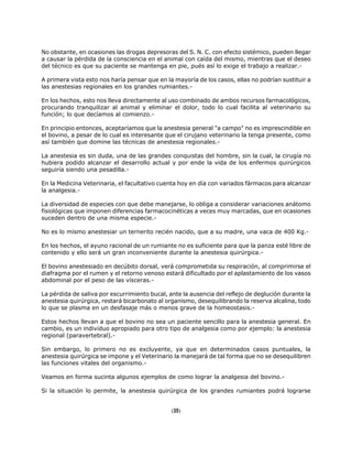 No obstante, en ocasiones las drogas depresoras del S. N. C. con efecto sistémico, pueden llegar
a causar la pérdida de la consciencia en el animal con caída del mismo, mientras que el deseo
del técnico es que su paciente se mantenga en pie, pués así lo exige el trabajo a realizar.-
A primera vista esto nos haría pensar que en la mayoría de los casos, ellas no podrían sustituir a
las anestesias regionales en los grandes rumiantes.-
En los hechos, esto nos lleva directamente al uso combinado de ambos recursos farmacológicos,
procurando tranquilizar al animal y eliminar el dolor, todo lo cual facilita al veterinario su
función; lo que decíamos al comienzo.-
En principio entonces, aceptaríamos que la anestesia general "a campo" no es imprescindible en
el bovino, a pesar de lo cual es interesante que el cirujano veterinario la tenga presente, como
así también que domine las técnicas de anestesia regionales.-
La anestesia es sin duda, una de las grandes conquistas del hombre, sin la cual, la cirugía no
hubiera podido alcanzar el desarrollo actual y por ende la vida de los enfermos quirúrgicos
seguiría siendo una pesadilla.-
En la Medicina Veterinaria, el facultativo cuenta hoy en día con variados fármacos para alcanzar
la analgesia.-
La diversidad de especies con que debe manejarse, lo obliga a considerar variaciones anátomo
fisiológicas que imponen diferencias farmacocinéticas a veces muy marcadas, que en ocasiones
suceden dentro de una misma especie.-
No es lo mismo anestesiar un ternerito recién nacido, que a su madre, una vaca de 400 Kg.-
En los hechos, el ayuno racional de un rumiante no es suficiente para que la panza esté libre de
contenido y ello será un gran inconveniente durante la anestesia quirúrgica.-
El bovino anestesiado en decúbito dorsal, verá comprometida su respiración, al comprimirse el
diafragma por el rumen y el retorno venoso estará dificultado por el aplastamiento de los vasos
abdominal por el peso de las vísceras.-
La pérdida de saliva por escurrimiento bucal, ante la ausencia del reflejo de deglución durante la
anestesia quirúrgica, restará bicarbonato al organismo, desequilibrando la reserva alcalina, todo
lo que se plasma en un desfasaje más o menos grave de la homeostasis.-
Estos hechos llevan a que el bovino no sea un paciente sencillo para la anestesia general. En
cambio, es un individuo apropiado para otro tipo de analgesia como por ejemplo: la anestesia
regional (paravertebral).-
Sin embargo, lo primero no es excluyente, ya que en determinados casos puntuales, la
anestesia quirúrgica se impone y el Veterinario la manejará de tal forma que no se desequilibren
las funciones vitales del organismo.-
Veamos en forma sucinta algunos ejemplos de como lograr la analgesia del bovino.-
Si la situación lo permite, la anestesia quirúrgica de los grandes rumiantes podrá lograrse
(35)
 