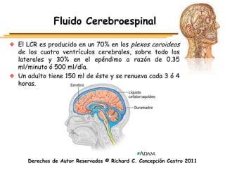 Fluido Cerebroespinal

El LCR es producido en un 70% en los plexos coroideos
de los cuatro ventrículos cerebrales, sobre todo los
laterales y 30% en el epéndimo a razón de 0.35
ml/minuto ó 500 ml/día.
Un adulto tiene 150 ml de éste y se renueva cada 3 ó 4
horas.




   Derechos de Autor Reservados © Richard C. Concepción Castro 2011
 