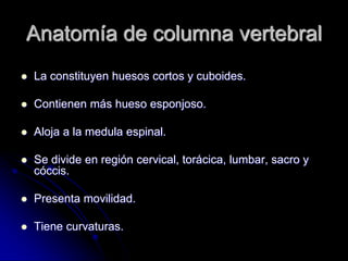 Anatomía de columna vertebral
   La constituyen huesos cortos y cuboides.

   Contienen más hueso esponjoso.

   Aloja a la medula espinal.

   Se divide en región cervical, torácica, lumbar, sacro y
    cóccis.

   Presenta movilidad.

   Tiene curvaturas.
 