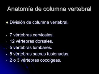 Anatomía de columna vertebral

   División de columna vertebral.

-   7 vértebras cervicales.
-   12 vértebras dorsales.
-   5 vértebras lumbares.
-   5 vértebras sacras fusionadas.
-   2 o 3 vértebras coccígeas.
 