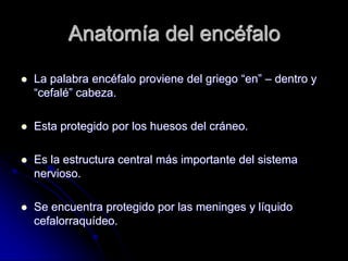 Anatomía del encéfalo
   La palabra encéfalo proviene del griego “en” – dentro y
    “cefalé” cabeza.

   Esta protegido por los huesos del cráneo.

   Es la estructura central más importante del sistema
    nervioso.

   Se encuentra protegido por las meninges y líquido
    cefalorraquídeo.
 