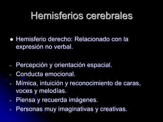 Hemisferios cerebrales

   Hemisferio derecho: Relacionado con la
    expresión no verbal.

-   Percepción y orientación espacial.
-   Conducta emocional.
-   Mímica, intuición y reconocimiento de caras,
    voces y melodías.
-   Piensa y recuerda imágenes.
-   Personas muy imaginativas y creativas.
 