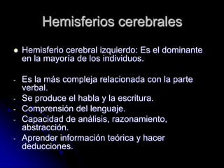 Hemisferios cerebrales
   Hemisferio cerebral izquierdo: Es el dominante
    en la mayoría de los individuos.

-   Es la más compleja relacionada con la parte
    verbal.
-   Se produce el habla y la escritura.
-   Comprensión del lenguaje.
-   Capacidad de análisis, razonamiento,
    abstracción.
-   Aprender información teórica y hacer
    deducciones.
 