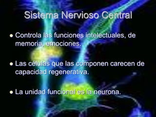 Sistema Nervioso Central

   Controla las funciones intelectuales, de
    memoria, emociones.

   Las células que las componen carecen de
    capacidad regenerativa.

   La unidad funcional es la neurona.
 