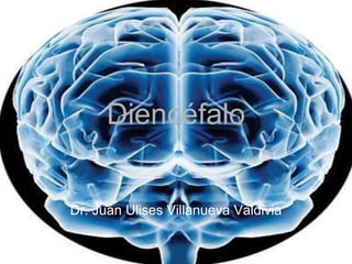 Diencéfalo


Dr. Juan Ulises Villanueva Valdivia
 