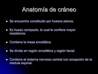 Anatomía de cráneo
   Se encuentra constituido por huesos planos.

   Es hueso compacto, lo cual le confiere mayor
    resistencia.

   Contiene la masa encefálica.

   Se divide en región encefálica y región facial.

   Contiene el sistema nervioso central con excepción de la
    medula espinal.
 