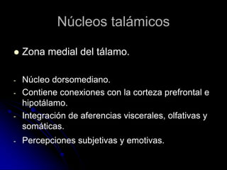 Núcleos talámicos

   Zona medial del tálamo.

-   Núcleo dorsomediano.
-   Contiene conexiones con la corteza prefrontal e
    hipotálamo.
-   Integración de aferencias viscerales, olfativas y
    somáticas.
-   Percepciones subjetivas y emotivas.
 