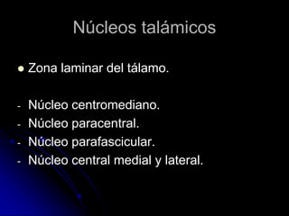 Núcleos talámicos

   Zona laminar del tálamo.

-   Núcleo centromediano.
-   Núcleo paracentral.
-   Núcleo parafascicular.
-   Núcleo central medial y lateral.
 