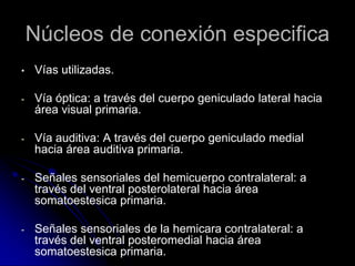 Núcleos de conexión especifica
•   Vías utilizadas.

-   Vía óptica: a través del cuerpo geniculado lateral hacia
    área visual primaria.

-   Vía auditiva: A través del cuerpo geniculado medial
    hacia área auditiva primaria.

-   Señales sensoriales del hemicuerpo contralateral: a
    través del ventral posterolateral hacia área
    somatoestesica primaria.

-   Señales sensoriales de la hemicara contralateral: a
    través del ventral posteromedial hacia área
    somatoestesica primaria.
 