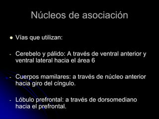 Núcleos de asociación

   Vías que utilizan:

-   Cerebelo y pálido: A través de ventral anterior y
    ventral lateral hacia el área 6

-   Cuerpos mamilares: a través de núcleo anterior
    hacia giro del cíngulo.

-   Lóbulo prefrontal: a través de dorsomediano
    hacia el prefrontal.
 