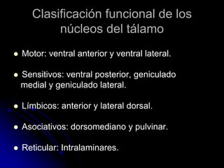 Clasificación funcional de los
            núcleos del tálamo
   Motor: ventral anterior y ventral lateral.

   Sensitivos: ventral posterior, geniculado
    medial y geniculado lateral.

   Límbicos: anterior y lateral dorsal.

   Asociativos: dorsomediano y pulvinar.

   Reticular: Intralaminares.
 