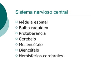 Sistema nervioso central ,[object Object],[object Object],[object Object],[object Object],[object Object],[object Object],[object Object]