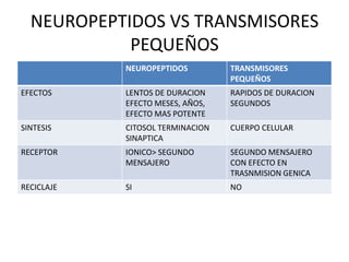 NEUROPEPTIDOS VS TRANSMISORES
            PEQUEÑOS
            NEUROPEPTIDOS         TRANSMISORES
                                  PEQUEÑOS
EFECTOS     LENTOS DE DURACION    RAPIDOS DE DURACION
            EFECTO MESES, AÑOS,   SEGUNDOS
            EFECTO MAS POTENTE
SINTESIS    CITOSOL TERMINACION   CUERPO CELULAR
            SINAPTICA
RECEPTOR    IONICO> SEGUNDO       SEGUNDO MENSAJERO
            MENSAJERO             CON EFECTO EN
                                  TRASNMISION GENICA
RECICLAJE   SI                    NO
 