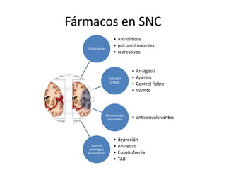 Fármacos en SNC
                       • Ansiolíticos
                       • psicoestimulantes
   Estimulantes
                       • recreativos


                                 •   Analgesia
                    DOLOR Y      •   Apetito
                     OTROS
                                 •   Control fiebre
                                 •   Vomito



                   Movimientos
                    anormales    • anticonvulsivantes



                       •   depresión
      Control          •   Ansiedad
    patologias
   psiquiatricas       •   Esquizofrenia
                       •   TAB
 