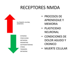 RECEPTORES NMDA
                       • PROCESOS DE
                         APRENDIZAJE Y
GLUTAMATO, GLICINA,
ASPARTATO                MEMORIA
                       • PLASTICIDAD
                         NEURONAL
     KETAMINA
     FENCICLIDINA
                       • CONDICIONES DE
     METADONA            DOLOR AGUDO Y
     MEMANTINA
     DEXTROMETORFANO     CRONICO
     ETANOL
     TRAMADOL          • MUERTE CELULAR
     METADONA
 