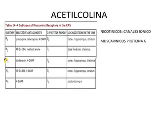 ACETILCOLINA
          NICOTINICOS: CANALES IONICO

          MUSCARINICOS PROTEINA G
 