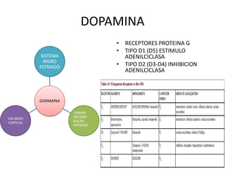 DOPAMINA
                                  • RECEPTORES PROTEINA G
                                  • TIPO D1 (D5) ESTIMULO
            SISTEMA                 ADENILCICLASA
             NIGRO
           ESTRIADO               • TIPO D2 (D3-D4) INHIBICION
                                    ADENILCICLASA



           DOPAMINA

                      TUBERO
VIA MESO              INFUNDI
CORTICAL              BULAR:
                      HIPOFISIS
 