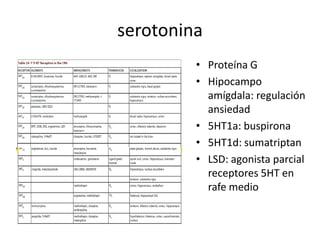 serotonina
         • Proteína G
         • Hipocampo
           amígdala: regulación
           ansiedad
         • 5HT1a: buspirona
         • 5HT1d: sumatriptan
         • LSD: agonista parcial
           receptores 5HT en
           rafe medio
 