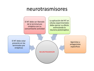 neurotrasmisores
                                        La aplicación del NT en
              El NT debe ser liberado
                                        células experimentales
                 de la terminal pre
                                        debe ejercer su efecto
                  sináptica con su
                                            estimulando la
              concomitante actividad
                                        neurona postsinaptica




El NT debe estar
                                                                   Agonistas y
presente en las
                                                                  antagonistas
 terminales pre
                                                                   especificos
    sinápticas
                              NEUROTRASMISOR
 