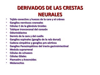 Sistema nervioso central | PPT | Brain and Nervous System Disorders ...