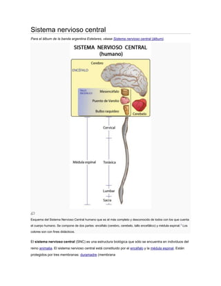 Sistema nervioso central
Para el álbum de la banda argentina Estelares, véase Sistema nervioso central (álbum).




Esquema del Sistema Nervioso Central humano que es el más completo y desconocido de todos con los que cuenta
el cuerpo humano. Se compone de dos partes: encéfalo (cerebro, cerebelo, tallo encefálico) y médula espinal. 1 Los
colores son con fines didácticos.


El sistema nervioso central (SNC) es una estructura biológica que sólo se encuentra en individuos del
reino animalia. El sistema nervioso central está constituido por el encéfalo y la médula espinal. Están
protegidos por tres membranas: duramadre (membrana
 