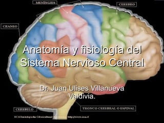 Anatomía y fisiología del
Sistema Nervioso Central

   Dr. Juan Ulises Villanueva
            Valdivia.
 