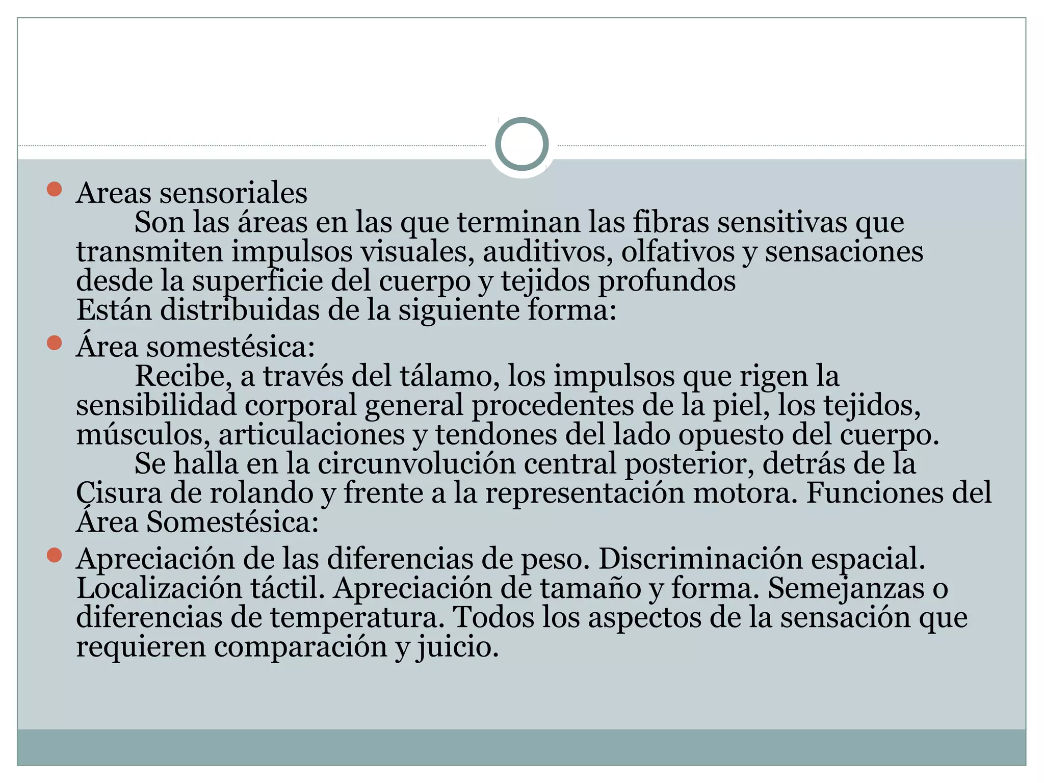 Areas sensoriales
Son las áreas en las que terminan las fibras sensitivas que
transmiten impulsos visuales, auditivos, olfativos y sensaciones
desde la superficie del cuerpo y tejidos profundos
Están distribuidas de la siguiente forma:
 Área somestésica:
Recibe, a través del tálamo, los impulsos que rigen la
sensibilidad corporal general procedentes de la piel, los tejidos,
músculos, articulaciones y tendones del lado opuesto del cuerpo.
Se halla en la circunvolución central posterior, detrás de la
Cisura de rolando y frente a la representación motora. Funciones del
Área Somestésica:
 Apreciación de las diferencias de peso. Discriminación espacial.
Localización táctil. Apreciación de tamaño y forma. Semejanzas o
diferencias de temperatura. Todos los aspectos de la sensación que
requieren comparación y juicio.
 