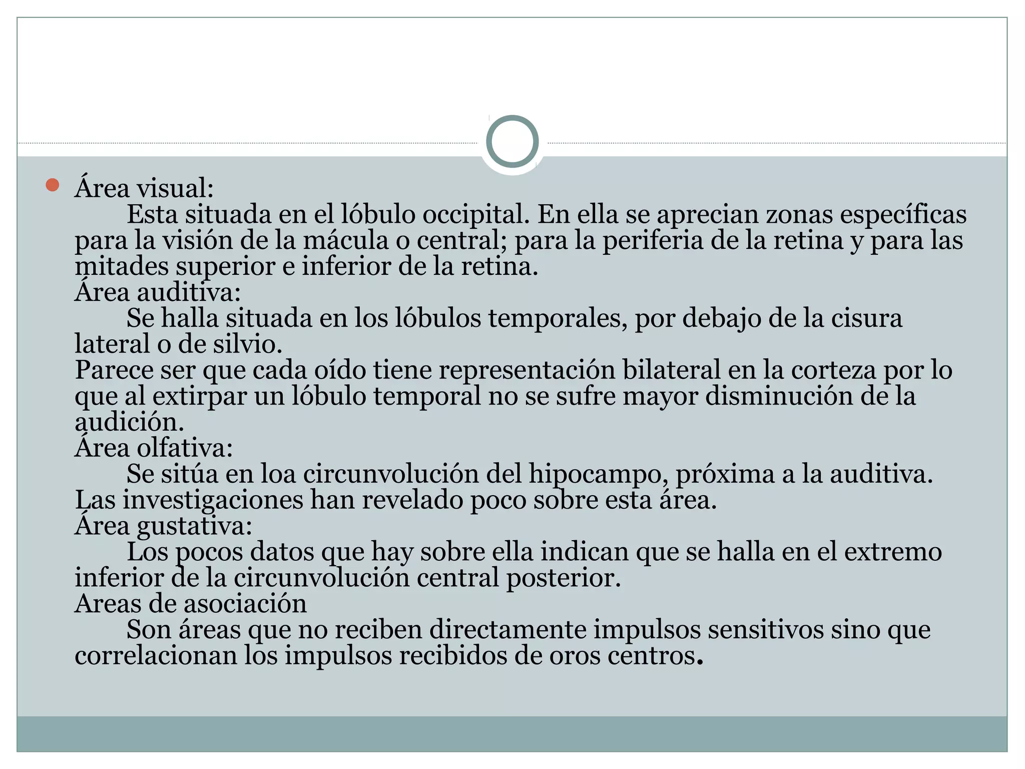  Área visual:
Esta situada en el lóbulo occipital. En ella se aprecian zonas específicas
para la visión de la mácula o central; para la periferia de la retina y para las
mitades superior e inferior de la retina.
Área auditiva:
Se halla situada en los lóbulos temporales, por debajo de la cisura
lateral o de silvio.
Parece ser que cada oído tiene representación bilateral en la corteza por lo
que al extirpar un lóbulo temporal no se sufre mayor disminución de la
audición.
Área olfativa:
Se sitúa en loa circunvolución del hipocampo, próxima a la auditiva.
Las investigaciones han revelado poco sobre esta área.
Área gustativa:
Los pocos datos que hay sobre ella indican que se halla en el extremo
inferior de la circunvolución central posterior.
Areas de asociación
Son áreas que no reciben directamente impulsos sensitivos sino que
correlacionan los impulsos recibidos de oros centros.
 