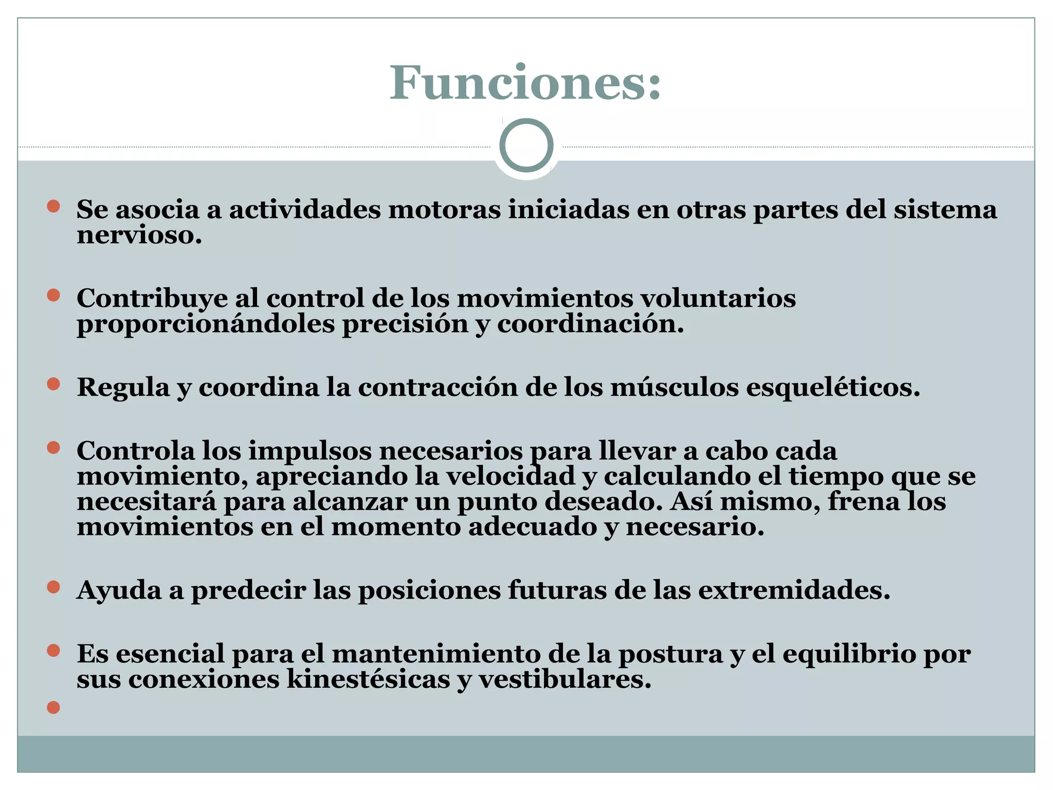Funciones:
 Se asocia a actividades motoras iniciadas en otras partes del sistema
nervioso.
 Contribuye al control de los movimientos voluntarios
proporcionándoles precisión y coordinación.
 Regula y coordina la contracción de los músculos esqueléticos.
 Controla los impulsos necesarios para llevar a cabo cada
movimiento, apreciando la velocidad y calculando el tiempo que se
necesitará para alcanzar un punto deseado. Así mismo, frena los
movimientos en el momento adecuado y necesario.
 Ayuda a predecir las posiciones futuras de las extremidades.
 Es esencial para el mantenimiento de la postura y el equilibrio por
sus conexiones kinestésicas y vestibulares.

 