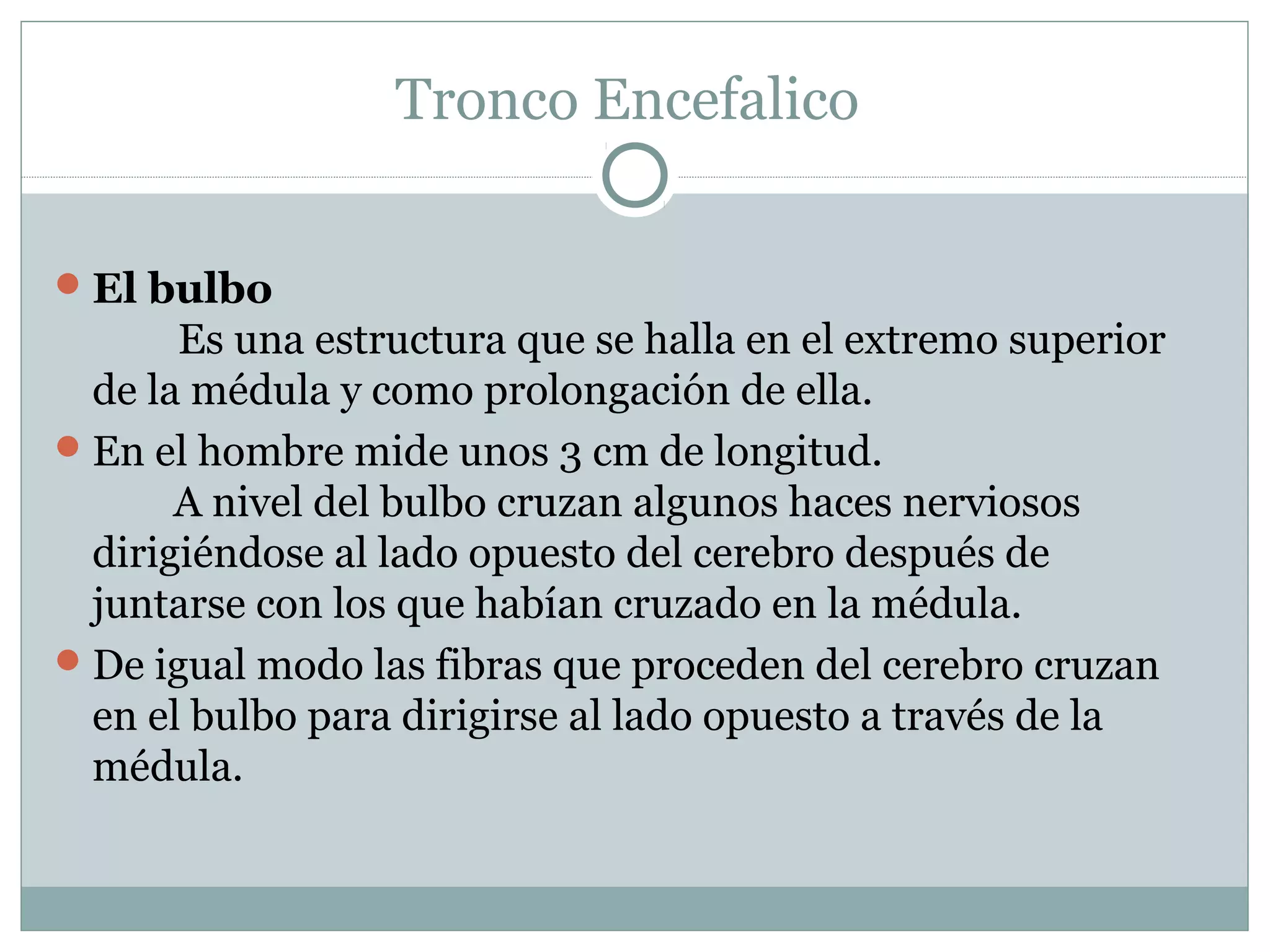 Tronco Encefalico
El bulbo
Es una estructura que se halla en el extremo superior
de la médula y como prolongación de ella.
En el hombre mide unos 3 cm de longitud.
A nivel del bulbo cruzan algunos haces nerviosos
dirigiéndose al lado opuesto del cerebro después de
juntarse con los que habían cruzado en la médula.
De igual modo las fibras que proceden del cerebro cruzan
en el bulbo para dirigirse al lado opuesto a través de la
médula.
 