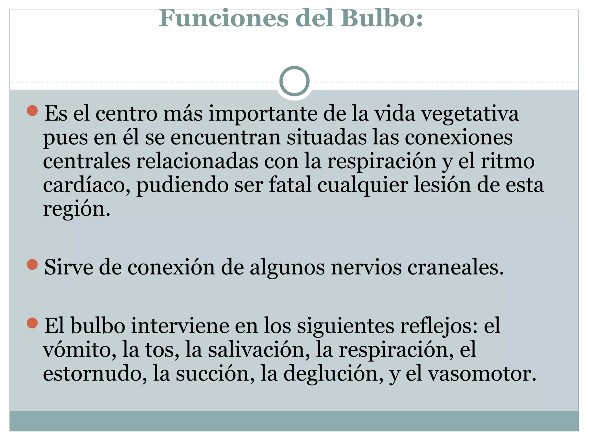 Funciones del Bulbo:
Es el centro más importante de la vida vegetativa
pues en él se encuentran situadas las conexiones
centrales relacionadas con la respiración y el ritmo
cardíaco, pudiendo ser fatal cualquier lesión de esta
región.
Sirve de conexión de algunos nervios craneales.
El bulbo interviene en los siguientes reflejos: el
vómito, la tos, la salivación, la respiración, el
estornudo, la succión, la deglución, y el vasomotor.
 
