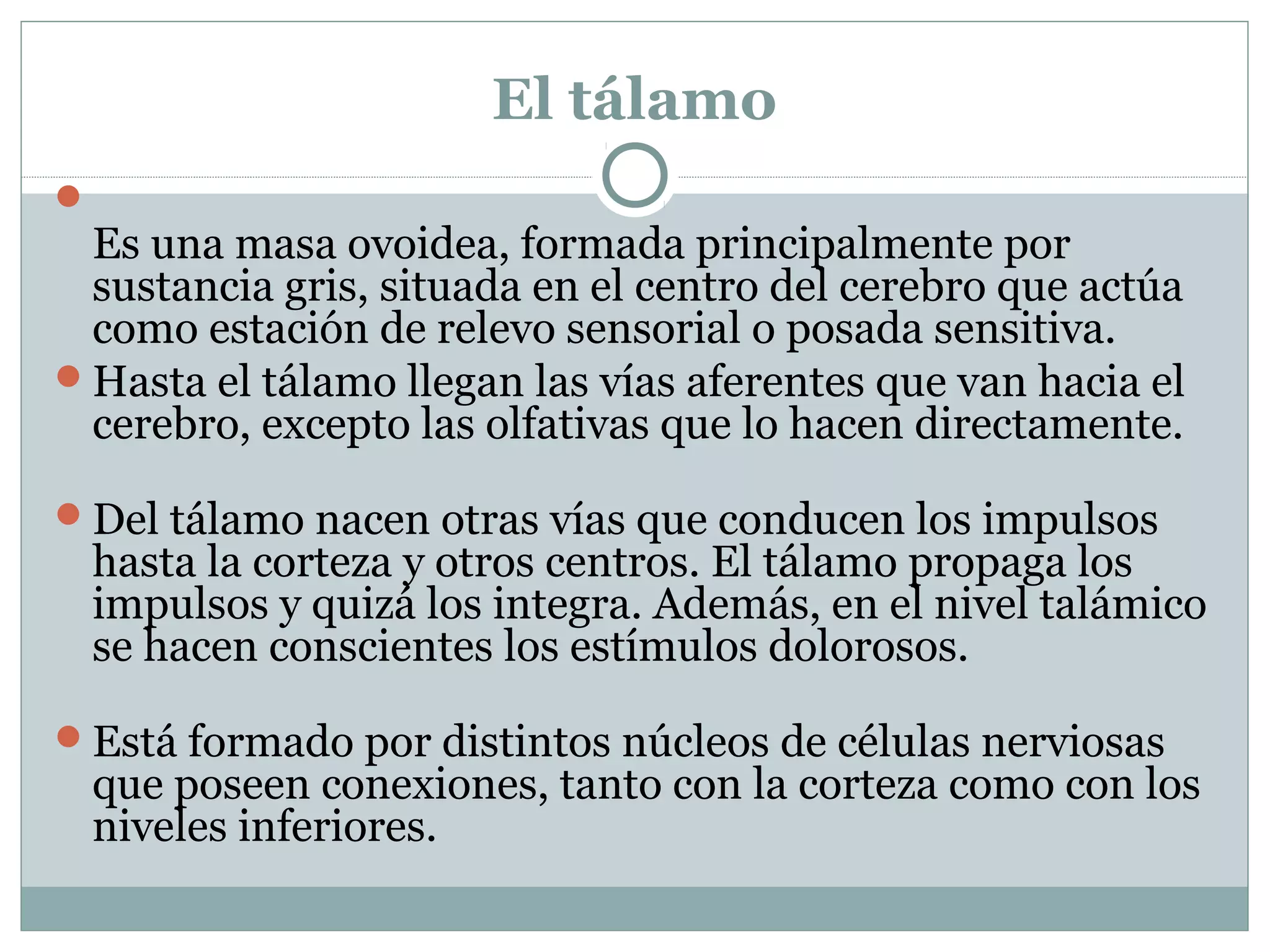 El tálamo

Es una masa ovoidea, formada principalmente por
sustancia gris, situada en el centro del cerebro que actúa
como estación de relevo sensorial o posada sensitiva.
Hasta el tálamo llegan las vías aferentes que van hacia el
cerebro, excepto las olfativas que lo hacen directamente.
Del tálamo nacen otras vías que conducen los impulsos
hasta la corteza y otros centros. El tálamo propaga los
impulsos y quizá los integra. Además, en el nivel talámico
se hacen conscientes los estímulos dolorosos.
Está formado por distintos núcleos de células nerviosas
que poseen conexiones, tanto con la corteza como con los
niveles inferiores.
 
