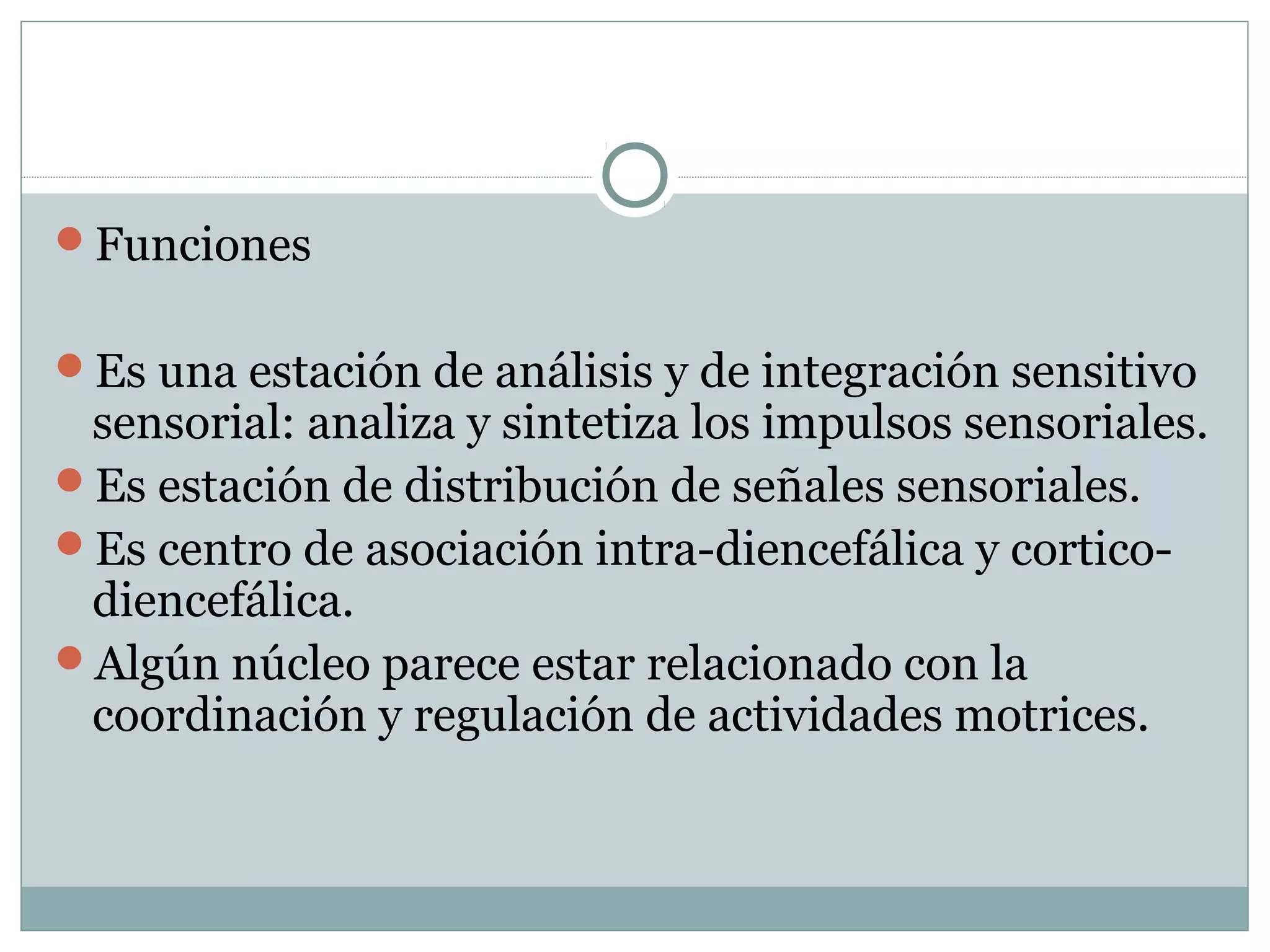 Funciones
Es una estación de análisis y de integración sensitivo
sensorial: analiza y sintetiza los impulsos sensoriales.
Es estación de distribución de señales sensoriales.
Es centro de asociación intra-diencefálica y cortico-
diencefálica.
Algún núcleo parece estar relacionado con la
coordinación y regulación de actividades motrices.
 