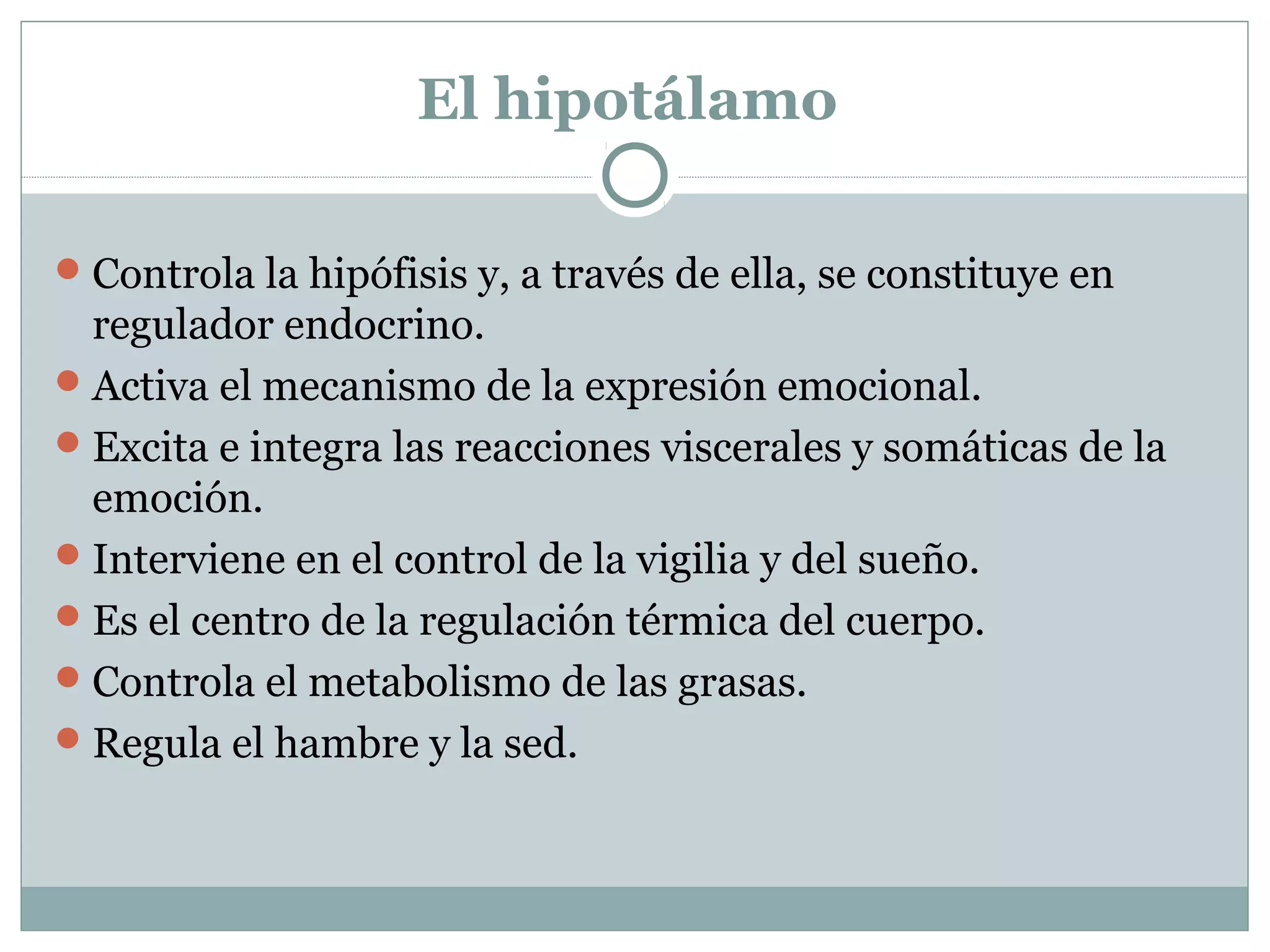 El hipotálamo
Controla la hipófisis y, a través de ella, se constituye en
regulador endocrino.
Activa el mecanismo de la expresión emocional.
Excita e integra las reacciones viscerales y somáticas de la
emoción.
Interviene en el control de la vigilia y del sueño.
Es el centro de la regulación térmica del cuerpo.
Controla el metabolismo de las grasas.
Regula el hambre y la sed.
 