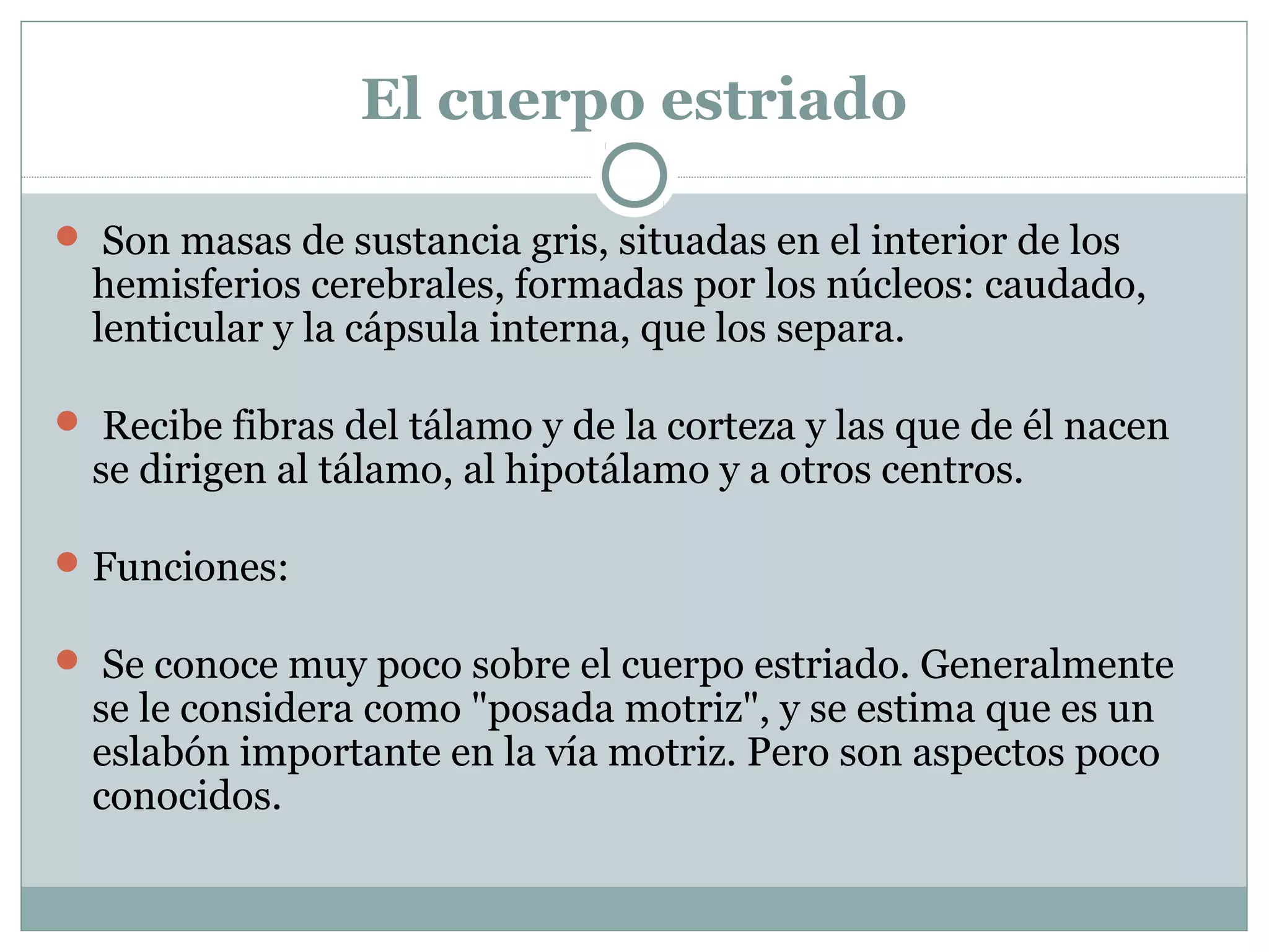 El cuerpo estriado
 Son masas de sustancia gris, situadas en el interior de los
hemisferios cerebrales, formadas por los núcleos: caudado,
lenticular y la cápsula interna, que los separa.
 Recibe fibras del tálamo y de la corteza y las que de él nacen
se dirigen al tálamo, al hipotálamo y a otros centros.
Funciones:
 Se conoce muy poco sobre el cuerpo estriado. Generalmente
se le considera como "posada motriz", y se estima que es un
eslabón importante en la vía motriz. Pero son aspectos poco
conocidos.
 