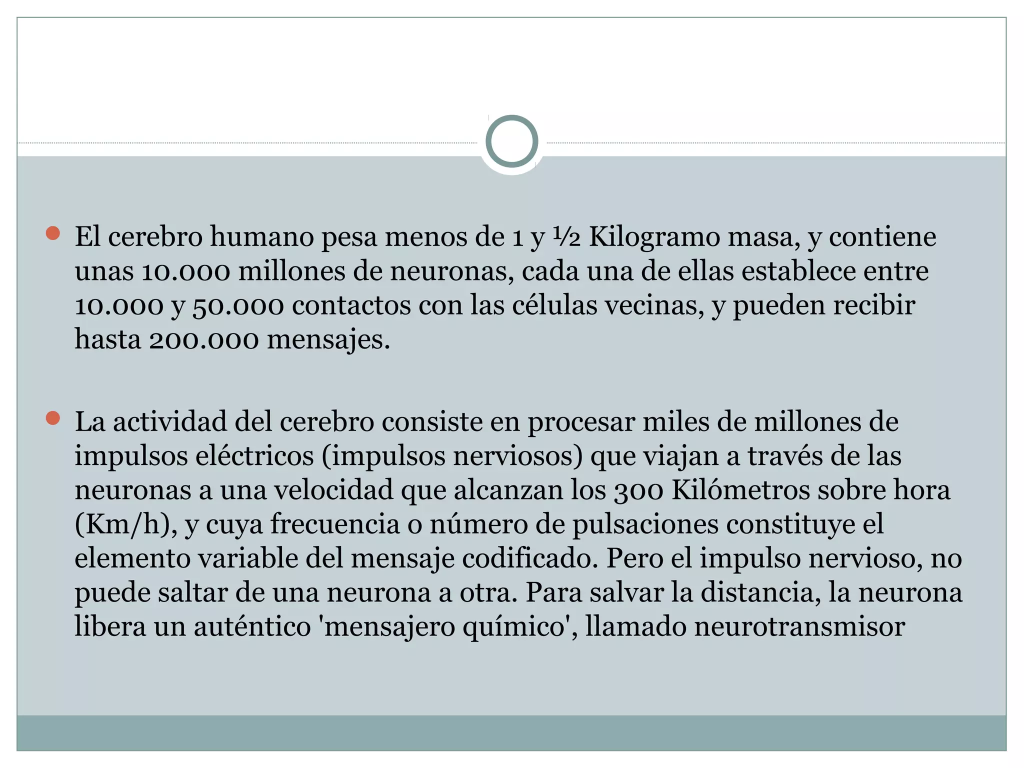  El cerebro humano pesa menos de 1 y ½ Kilogramo masa, y contiene
unas 10.000 millones de neuronas, cada una de ellas establece entre
10.000 y 50.000 contactos con las células vecinas, y pueden recibir
hasta 200.000 mensajes.
 La actividad del cerebro consiste en procesar miles de millones de
impulsos eléctricos (impulsos nerviosos) que viajan a través de las
neuronas a una velocidad que alcanzan los 300 Kilómetros sobre hora
(Km/h), y cuya frecuencia o número de pulsaciones constituye el
elemento variable del mensaje codificado. Pero el impulso nervioso, no
puede saltar de una neurona a otra. Para salvar la distancia, la neurona
libera un auténtico 'mensajero químico', llamado neurotransmisor
 