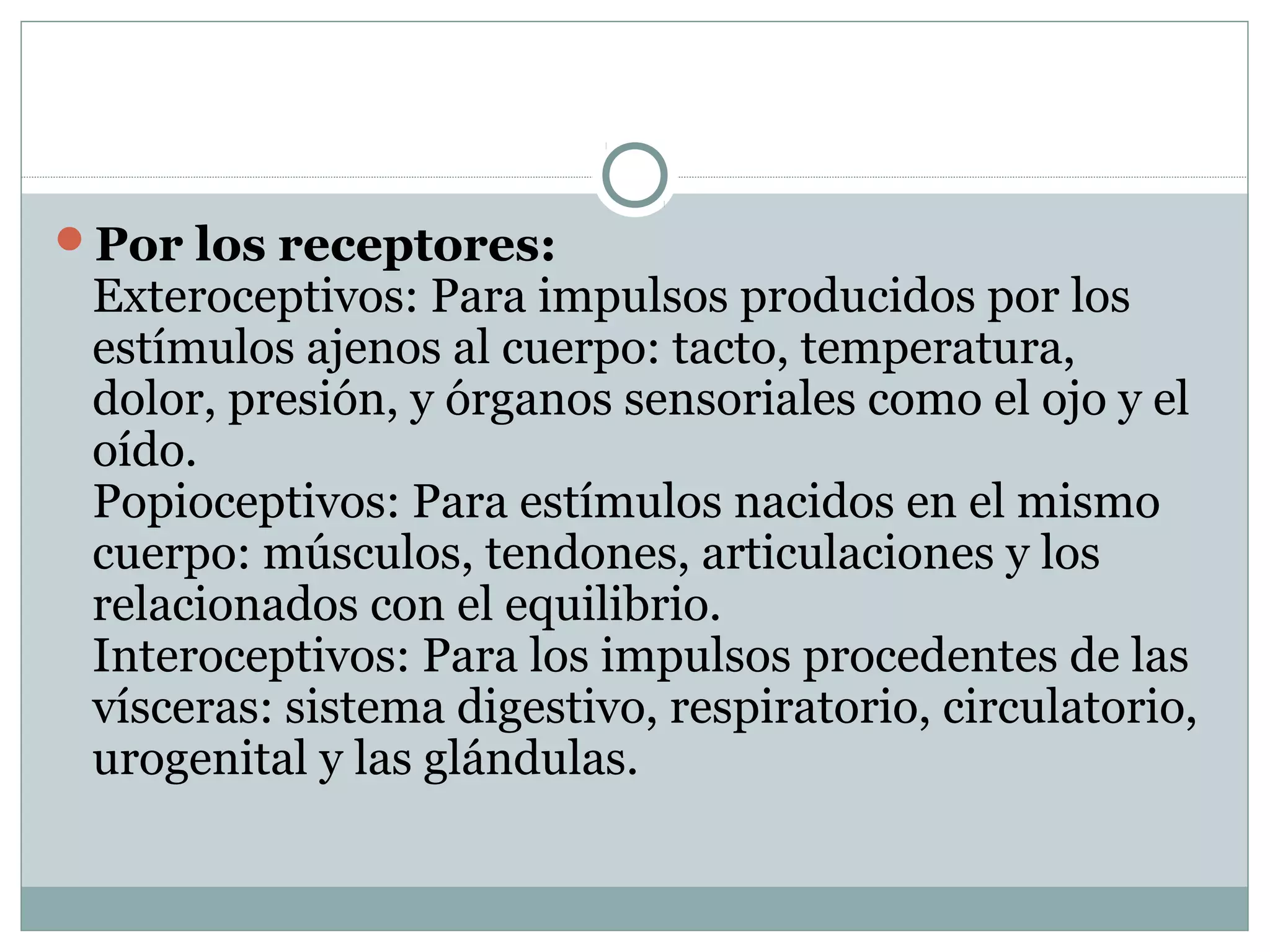 Por los receptores:
Exteroceptivos: Para impulsos producidos por los
estímulos ajenos al cuerpo: tacto, temperatura,
dolor, presión, y órganos sensoriales como el ojo y el
oído.
Popioceptivos: Para estímulos nacidos en el mismo
cuerpo: músculos, tendones, articulaciones y los
relacionados con el equilibrio.
Interoceptivos: Para los impulsos procedentes de las
vísceras: sistema digestivo, respiratorio, circulatorio,
urogenital y las glándulas.
 