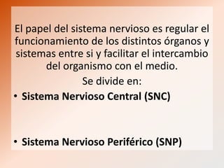 El papel del sistema nervioso es regular el
funcionamiento de los distintos órganos y
sistemas entre si y facilitar el intercambio
del organismo con el medio.
Se divide en:
• Sistema Nervioso Central (SNC)

• Sistema Nervioso Periférico (SNP)

 