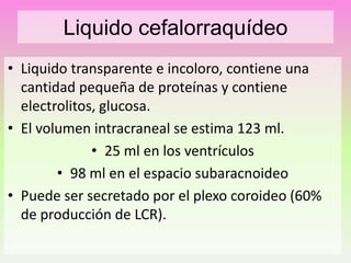 Liquido cefalorraquídeo
• Liquido transparente e incoloro, contiene una
cantidad pequeña de proteínas y contiene
electrolitos, glucosa.
• El volumen intracraneal se estima 123 ml.
• 25 ml en los ventrículos
• 98 ml en el espacio subaracnoideo
• Puede ser secretado por el plexo coroideo (60%
de producción de LCR).

 
