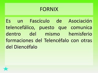 FORNIX
Es un Fascículo de Asociación
telencefálico, puesto que comunica
dentro
del
mismo
hemisferio
formaciones del Telencéfalo con otras
del Diencéfalo

 