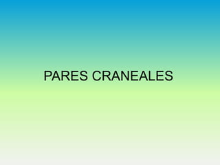 PARES CRANEALES

 