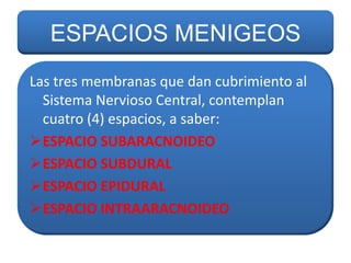 ESPACIOS MENIGEOS
Las tres membranas que dan cubrimiento al
Sistema Nervioso Central, contemplan
cuatro (4) espacios, a saber:
ESPACIO SUBARACNOIDEO
ESPACIO SUBDURAL
ESPACIO EPIDURAL
ESPACIO INTRAARACNOIDEO

 