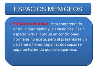 ESPACIOS MENIGEOS
ESPACIO SUBARACNOIDEO: está situado
ESPACIO SUBDURAL: está comprendido
entre la aracnoides yy la aracnoides.través
entre la duramadre la piamadre. A Es un
de este circula el líquidoen condiciones
espacio virtual porque cefalorraquídeo,
cuyas funciones son amortiguar al cerebro y
normales no existe, pero al presentarse un
aderrame o hemorragia, las dos capas se
la médula contra lesiones, brindar las
sustancias nutritivas para lasaparezca. y
separan haciendo que este neuronas
eliminar sustancias de desecho.

 