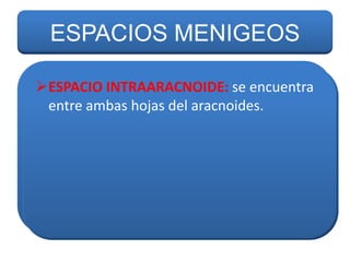 ESPACIOS MENIGEOS
ESPACIO SUBARACNOIDEO: está encuentra
ESPACIO INTRAARACNOIDE: se situado
entre la aracnoides y la aracnoides. través
entre ambas hojas del piamadre. A
de este circula el líquido cefalorraquídeo,
cuyas funciones son amortiguar al cerebro y
a la médula contra lesiones, brindar las
sustancias nutritivas para las neuronas y
eliminar sustancias de desecho.

 