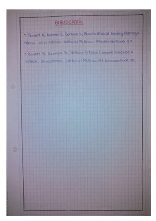 Sistema nervioso central