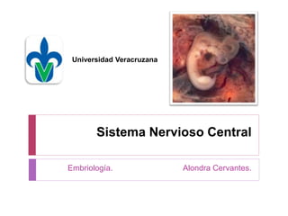 Sistema Nervioso Central
Embriología. Alondra Cervantes.
Universidad Veracruzana
 