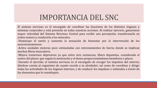 IMPORTANCIA DEL SNC
El sistema nervioso es el encargado de coordinar las funciones de los distintos órganos y
sistemas corporales y está presente en todas nuestras acciones. Al realizar ejercicio, ganaremos
mayor velocidad del Sistema Nervioso Central para recibir una percepción, transformarla en
orden motora y conducirla a los músculos.
-Disminuye el estrés y aumenta la sensación de bienestar por la intervención de los
neurotransmisores.
-Activa unidades motoras poco estimuladas con entrenamientos de fuerza donde se implican
muchas fibras musculares.
-Mejora trastornos depresivos ya que entre otra sustancias, libera dopamina, considerada el
centro del placer, que regula la motivación y el deseo proporcionándonos beneficios o placer.
-Durante el ejercido, el sistema nervioso es el encargado de recoger los impulsos del exterior,
dándose cuenta al organismo de cuanto sucede a su alrededor; así como de coordinar y dirigir
todas las actividades de los órganos internos, y de conducir los impulsos o estímulos a través de
los elementos que lo constituyen.
 