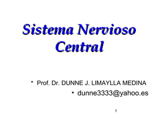 Sistema Nervioso
     Central

 • Prof. Dr. DUNNE J. LIMAYLLA MEDINA
             • dunne3333@yahoo.es

                           1
 