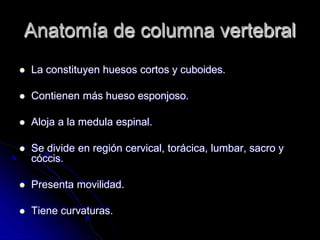Anatomía de columna vertebral
 La constituyen huesos cortos y cuboides.
 Contienen más hueso esponjoso.
 Aloja a la medula espinal.
 Se divide en región cervical, torácica, lumbar, sacro y
cóccis.
 Presenta movilidad.
 Tiene curvaturas.
 