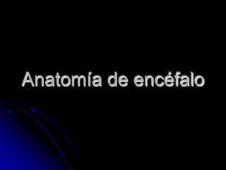 Anatomía de encéfalo
 